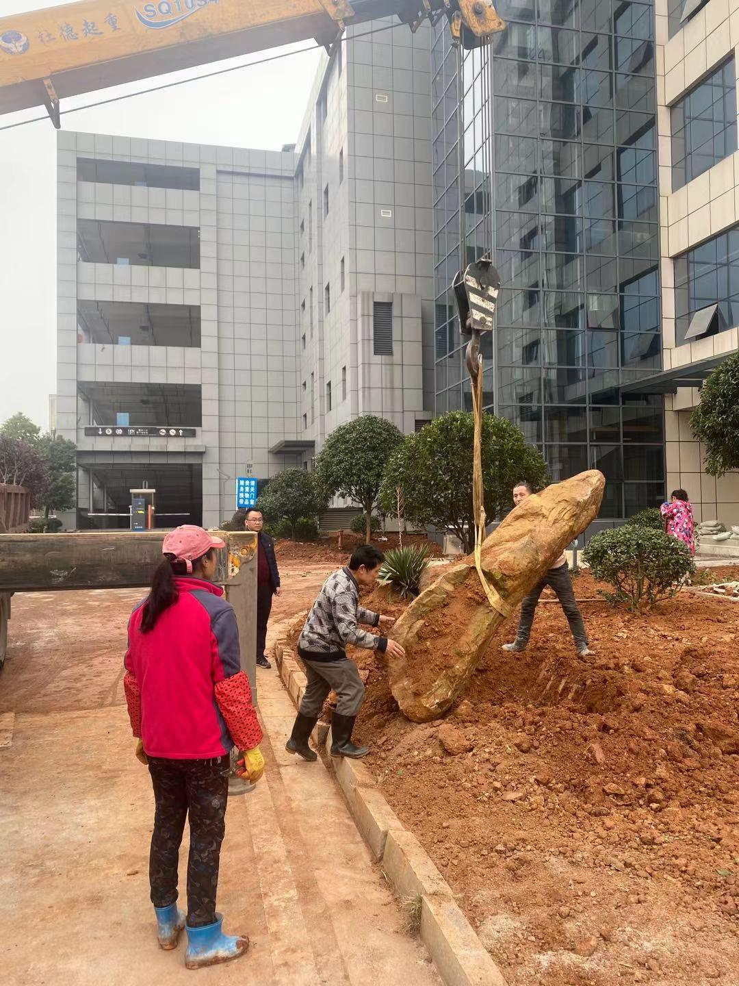 1612679524430633.jpg 布設景觀石 王孟喜攝.jpg