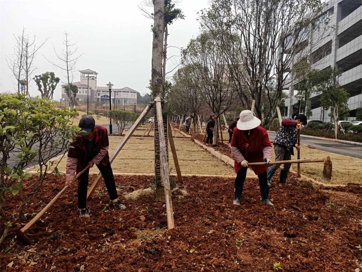 1612679550644514.jpg 園林施工 莫雪松攝.jpg