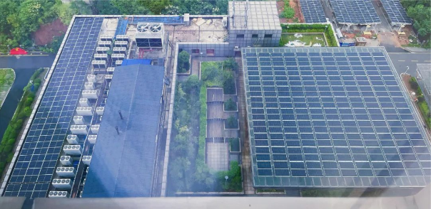 1704250665993388.png 21.png